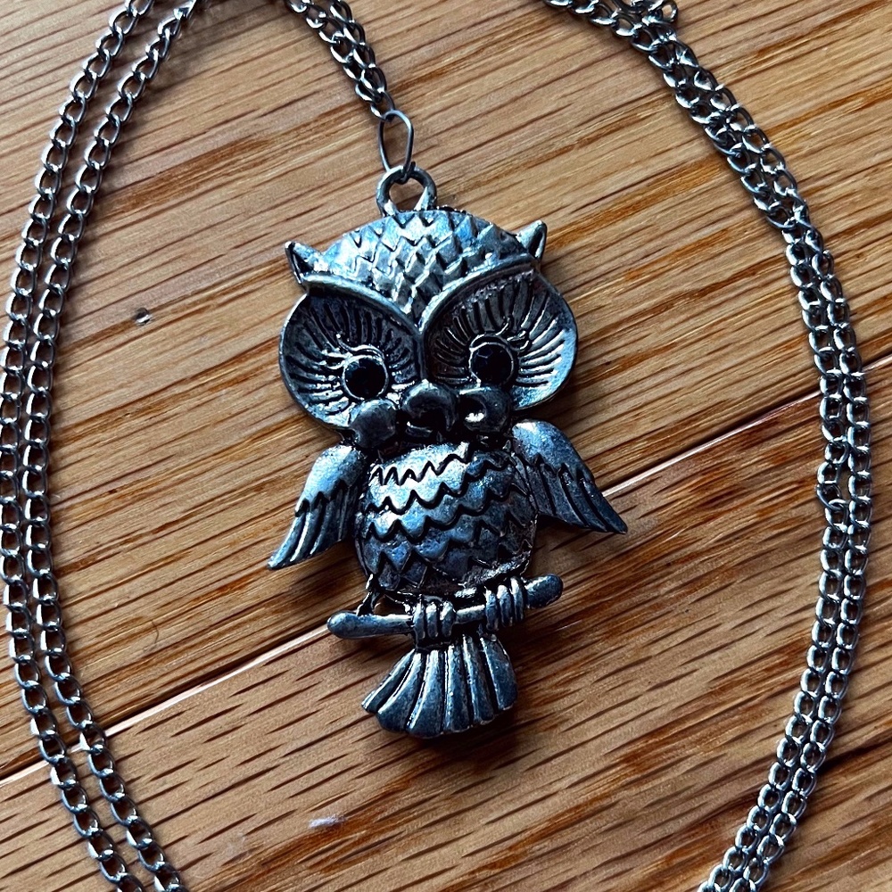 Owl Necklace Long Chain